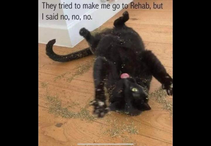 Best Clones... Showing off my.... Week 5