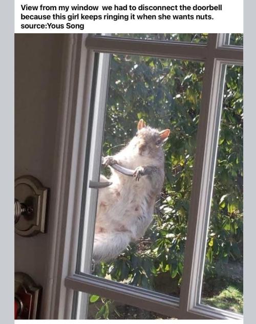 Best Clones... Showing off my.... Week 5