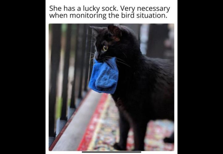 Best Clones... Showing off my.... Week 5