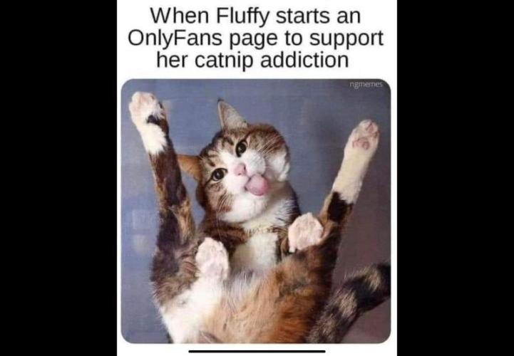 🍋 Lemon 🍊 Mandarin 😎 🤗 🤩. Week 5 - For her Fans?