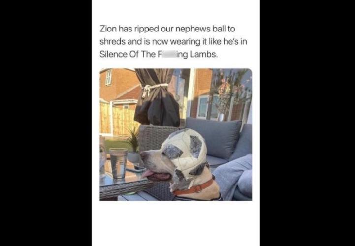 Best Clones... Showing off my.... Week 6 - Ripped it up...