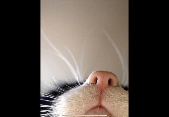 Best Clones... Showing off my.... Week 6 - Starting to get smelly in here.