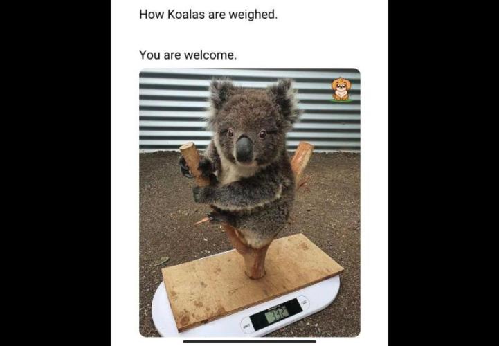 Best Clones... Showing off my.... Week 7 - Just so you know....