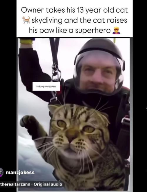 Best Clones... Showing off my.... Week 7 - I have mixed feelings about this???!!!??? Why doesn't the cat get goggles?