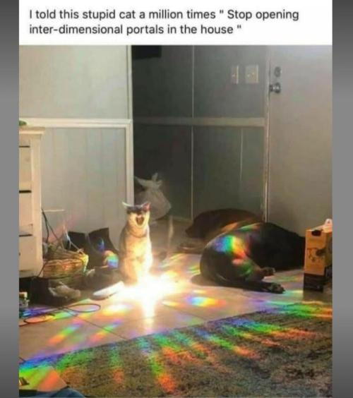 Gelatdos Jabb... My crossing.. Week 6 - Do that outside!!!