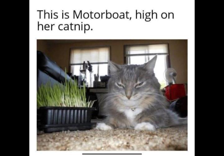 Gelatdos Jabb... My crossing.. Week 6 - Motorboat