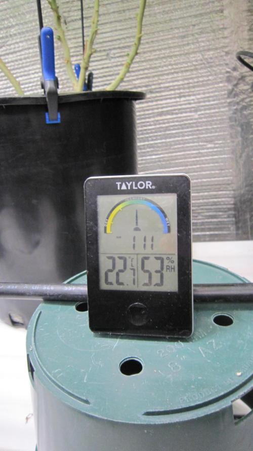 Best Clones... Showing off my.... Week 8 - Good