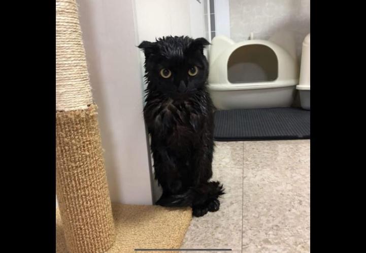 Best Clones... Showing off my.... Week 8 - Ka..Ka..Ka..cold