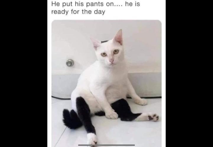 Best Clones... Showing off my.... Week 8 - Pantz On