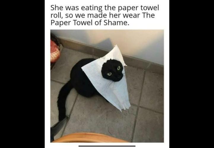 Best Clones... Showing off my.... Week 8 - Of Shame!!!