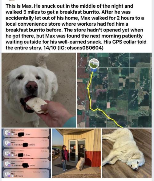 Gelatdos Jabb... My crossing.. Week 7 - Gets around.