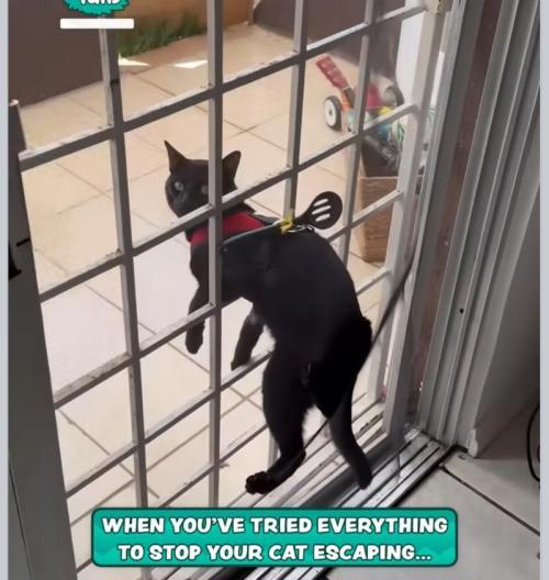 💪🔥⚡ Hulk OG - by IZI. Week 8 - Can't escape now.