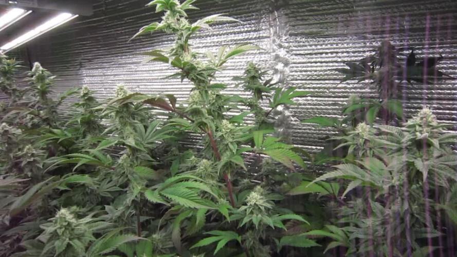 Best Clones... Showing off my...