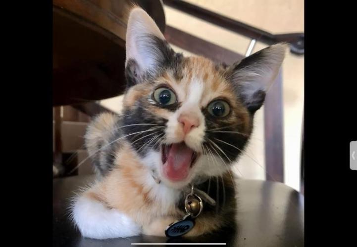 Best Clones... Showing off my.... Week 9 - Hey... Good to see you...