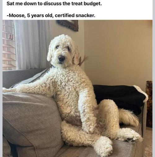 Gelatdos Jabb... My crossing.. Week 8 - Good Talk...