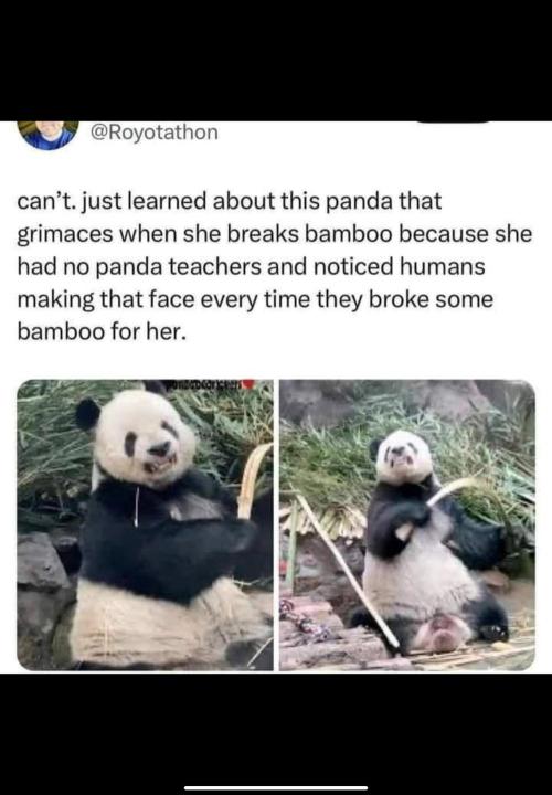 💪🔥⚡ Hulk OG - by IZI. Week 9 - 😬