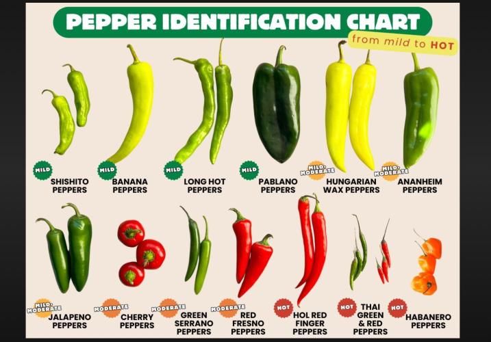 Best Clones... Showing off my.... Week 10 - My wife sent me this after discussing hot peppers.