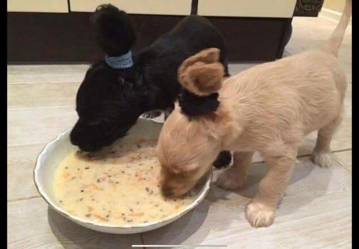 Best Clones... Showing off my.... Week 10 - Cute...