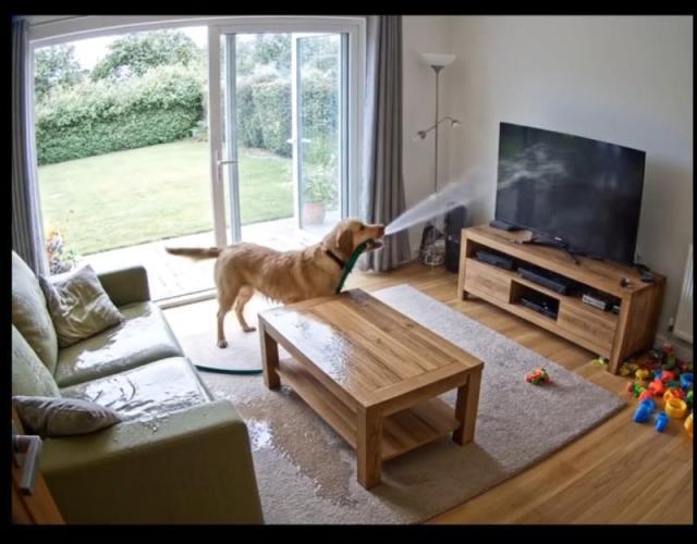 Gelatdos Jabb... My crossing.. Week 9 - He's Helping....