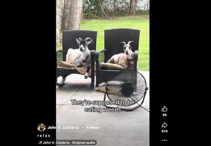 Gelatdos Jabb... My crossing.. Week 9 - Yeah!?!  What are you doing???