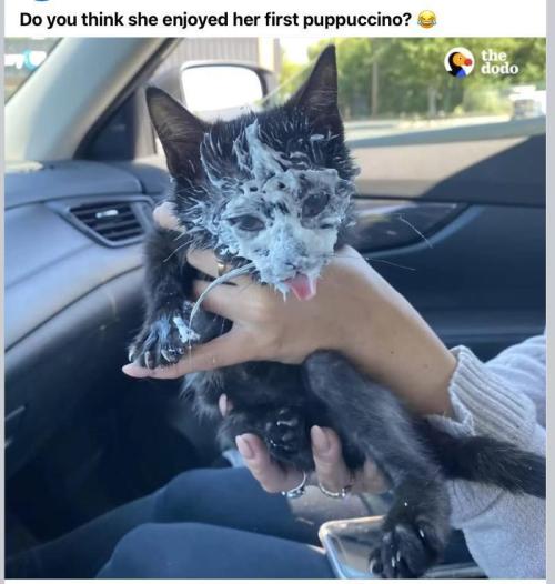 🍋 Lemon 🍊 Mandarin 😎 🤗 🤩. Week 10 - Looks Delicious.... and messy and sticky.