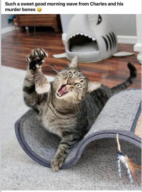 💪🔥⚡ Hulk OG - by IZI. Week 10 - Killer.