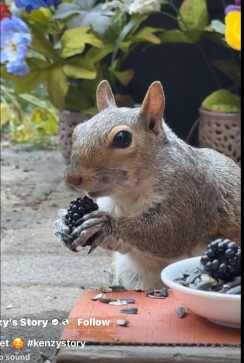 💪🔥⚡ Hulk OG - by IZI. Week 10 - Yummy.