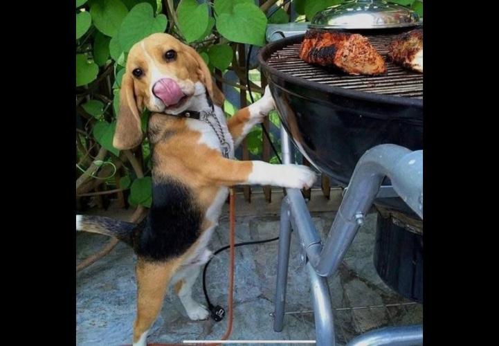 💪🔥⚡ Hulk OG - by IZI. Week 10 - Smells So Good!!!!