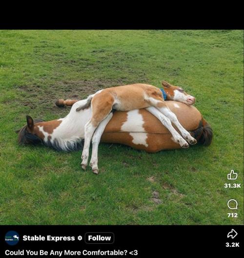 Best Clones... Showing off my.... Week 11 - A nice warm, dry place to lay down. What a good Mom.