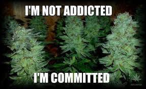 Best Clones... Showing off my.... Week 11 - Yeah!!!