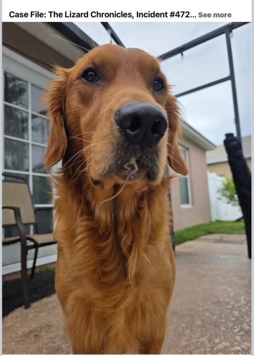 Gelatdos Jabb... My crossing.. Week 10 - You can hardly see it.