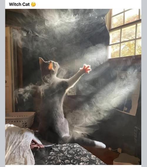 Gelatdos Jabb... My crossing.. Week 10 - Al a kazoo.. Al a kazo..