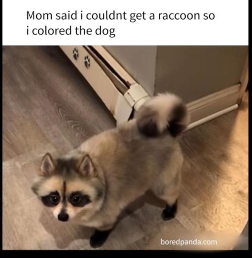 💪🔥⚡ Hulk OG - by IZI. Week 11 - Boy... Are you going to get shit...