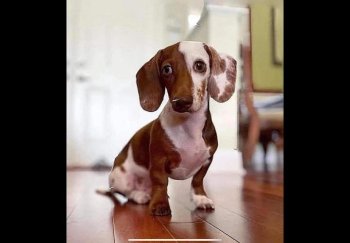 Best Clones... Showing off my.... Week 12 - What a Cutie...!