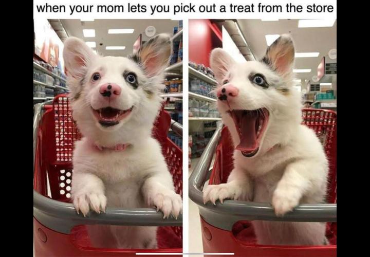 Best Clones... Showing off my.... Week 12 - Oh Boy...! So Excited...!