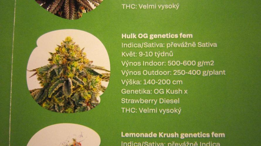 💪🔥⚡ Hulk OG - by IZI. Week 12 - Strawberry Diesel... Yum...