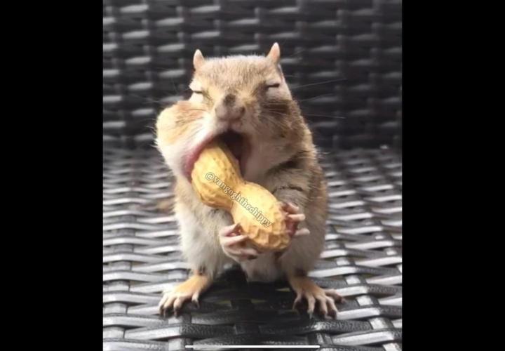 💪🔥⚡ Hulk OG - by IZI. Week 12 - Save it for later.