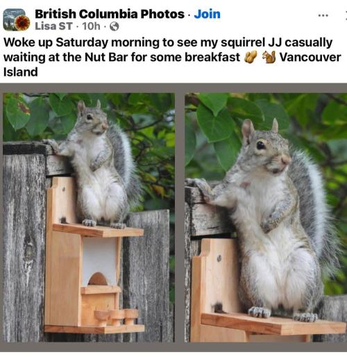 💪🔥⚡ Hulk OG - by IZI. Week 12 - Just lounging..