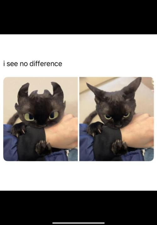 Best Clones... Showing off my.... Week 13 - Toothless, from How to Train Your Dragon.