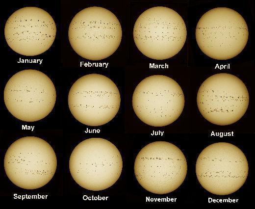 Best Clones... Showing off my.... Week 13 - The whole of last year in Sun Spots.