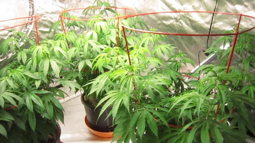 Gelatdos Jabb... My crossing.