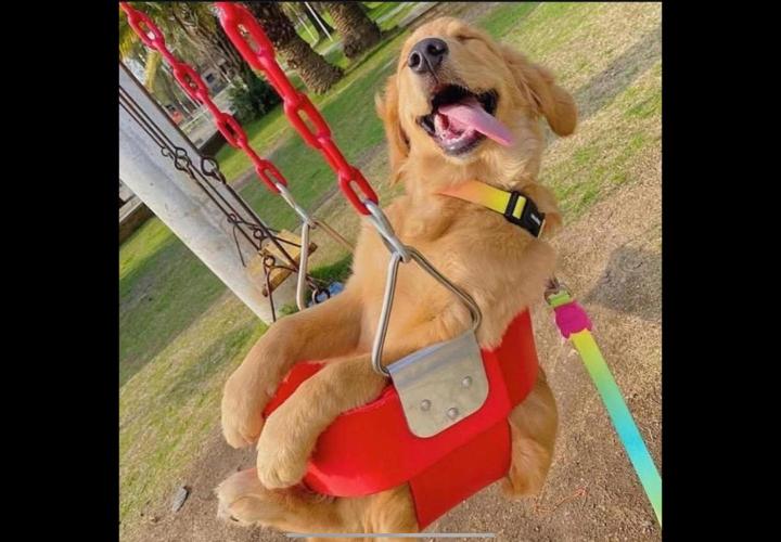 Gelatdos Jabb... My crossing.. Week 12 - Wheeeee. Now there's a big smile.