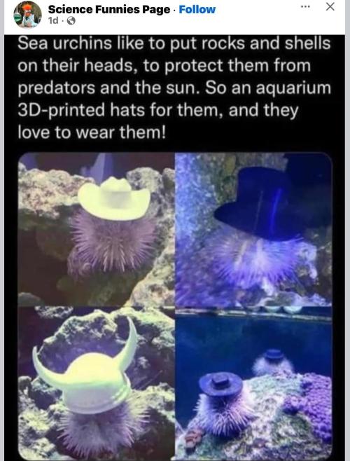 💪🔥⚡ Hulk OG - by IZI. Week 13 - Little Its... from the Addams Family