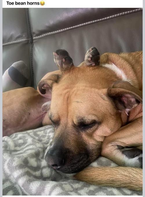 Gelatdos Jabb... My crossing.. Week 13