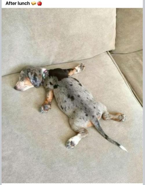 Gelatdos Jabb... My crossing.. Week 13