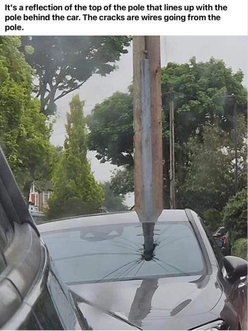 🍋 Lemon 🍊 Mandarin 😎 🤗 🤩. Week 14 - Oh... No...