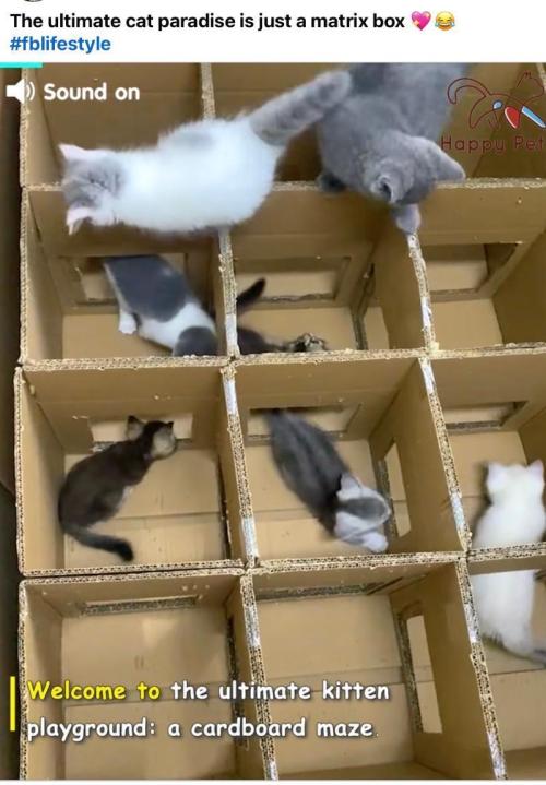 💪🔥⚡ Hulk OG - by IZI. Week 14 - The Best Ever....