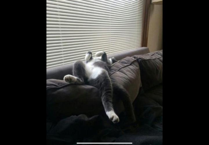 💪🔥⚡ Hulk OG - by IZI. Week 14 - Couch Locked.