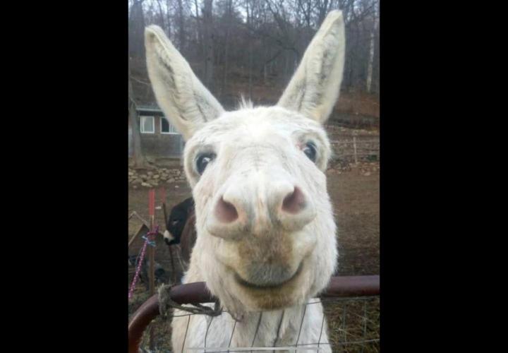 🍋 Lemon 🍊 Mandarin 😎 🤗 🤩. Week 15