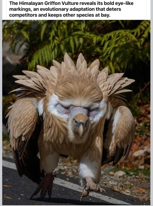 🍋 Lemon 🍊 Mandarin 😎 🤗 🤩. Week 15